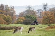Knole Park’s new Toro Greensmaster TriFlex 3420-H machines join 600 deer at the 1000-acre parkland course in Kent