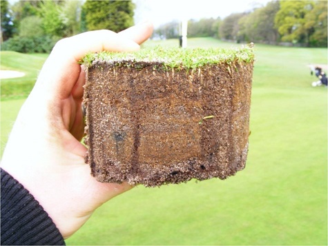 Almost no thatch reduction after two years of hollow coring and 200 tonnes top dressing p.a