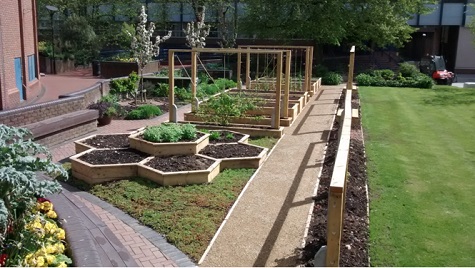 The first enlargement of the garden in 2012, showing the “bee hive” design to the herb garden