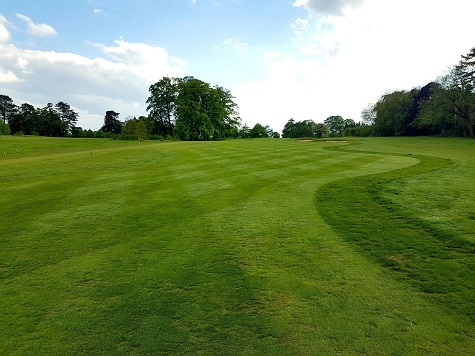 The 8th fairway shown in May 2019, prepared for the Jamega Pro Tour
