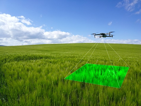 Skippy Scout uses high resolution images taken using a drone to analyse crops and show evidence of weeds or pests