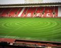 Southampton FC's pitch before yesterday's Man Utd game