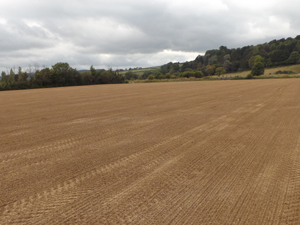 Axminster Town FC new main pitch in September just prior to sowing