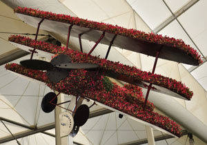 A tri-plane made of flowers on the Birmingham Chelsea garden
