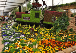 The Birmingham Red Cross train and the BSA bike