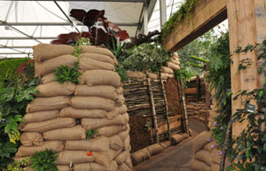 The trenches and the copper poppies water feature