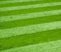 Suppliers Directory