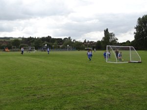 The playing surface