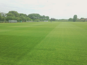 Preston North End training pitches with Rigby Taylor R14CR sown in mid-April
