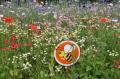The bee pollinator symbol on a Euroflor classic display in Monmouthshire