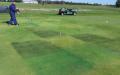 Plant colourants are applied to a creeping bentgrass fairway plot in Mead, Neb. The plot is then covered with shade cloth to reduce sunlight intensity by 70 percent. Photo: Bill Kreuser