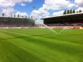 Wrexham FC's new pitch