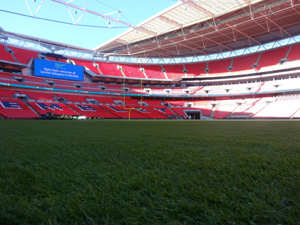 The Wembley turf just two days after the Detroit Lions v Atlanta Falcons NFL game