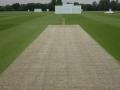 The ECB have launched the Essential Guide to Cricket Groundsmanship website