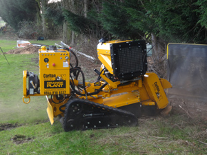 Smaller Carlton stump grinder being operated remotely