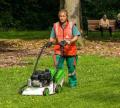 Etesia