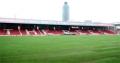 Brentford's new pitch