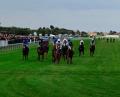Yarmouth racecourse