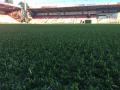AFC Bournemouth's new pitch