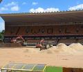 Work at Molineux was pictured in the Express And Star
