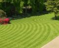 Allett have launched their lawn stripes competition