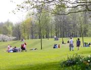 Search is on for UK's best park