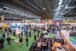 IOG SALTEX