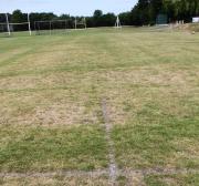 July will see irrigation challenges