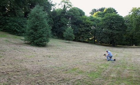 Devon Live pictured the completely mown meadow