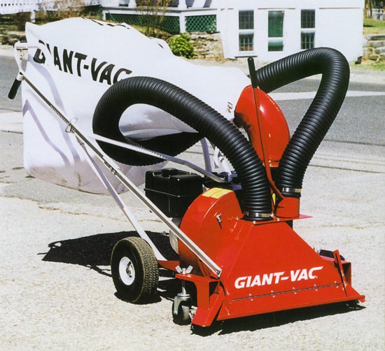 Giant Vac Giant Vac