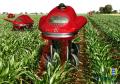 Robot farming of the future?