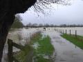 Flooded farmland