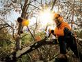 STIHL MS 150 TC-E Chain saw