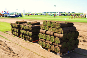 Rolls of turf freshly harvested on the site-
