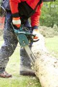 Makita chainsaw in action