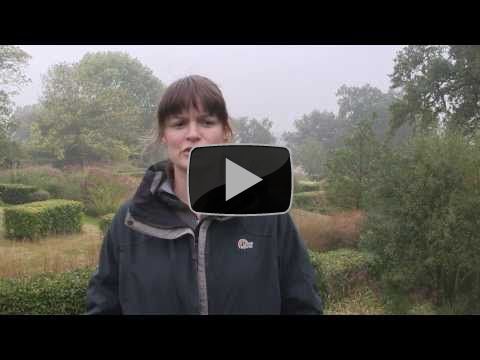 Pellenc Battery Power Tools - Alaster Anderson Specialist Gardeners Testimonial