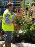Alan Titchmarsh gets to work at RHS Chelsea