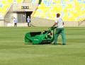 Mastiff at work in the Maracanã stadium