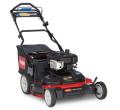 Toro TimeMaster 30