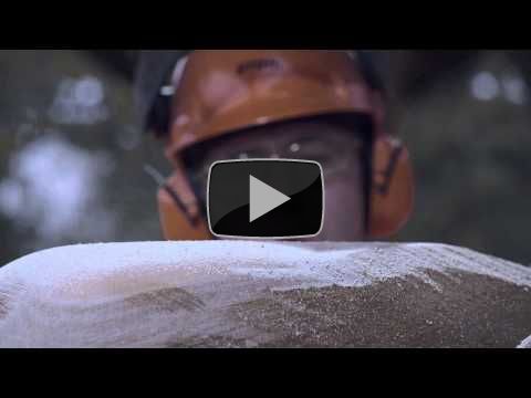 Christmas Dinner... STIHL style