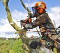 Stihl X-FLEX - Picture copyright: www.LWimages.co.uk