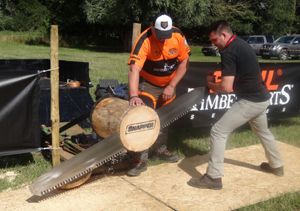 The dealer brush sawing competition