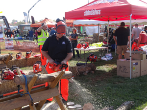 Shindaiwa chainsaw demo