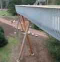 STIHL Treetop Walkway