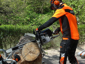 One of only 3 highly strong and super fast 'carbon concept' chainsaws in the world was shown