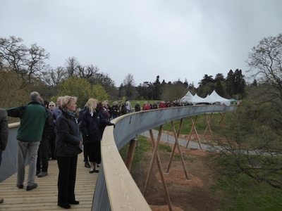 Guests get a first view from Stihl Treewalk