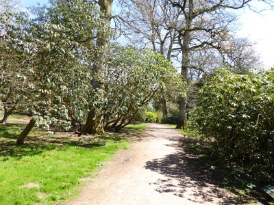 Westonbirt Arboretum in the Spring