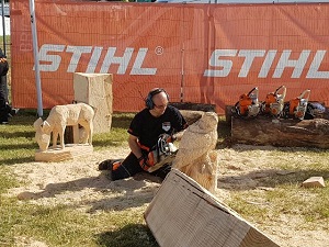 Chainsaw carving