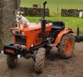 Archie with Colin's Kubota