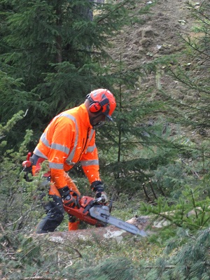 A limbing demonstration